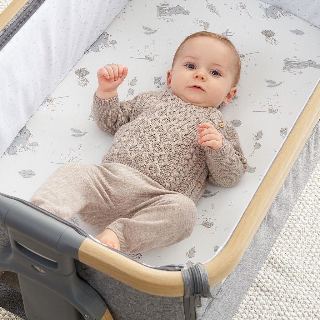 Bedside Crib Fitted Sheets 2pk - Our Planet